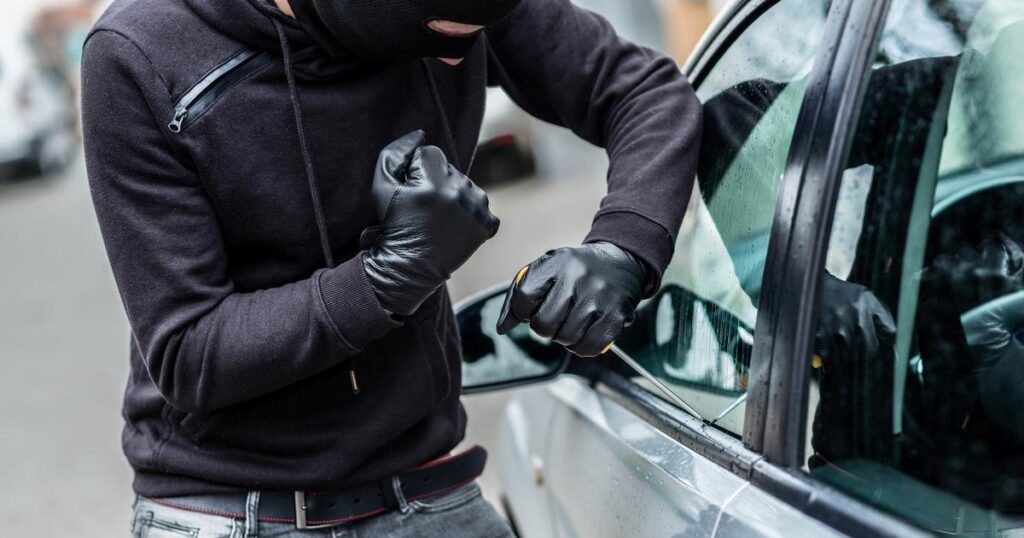 Vehicle Theft Protection